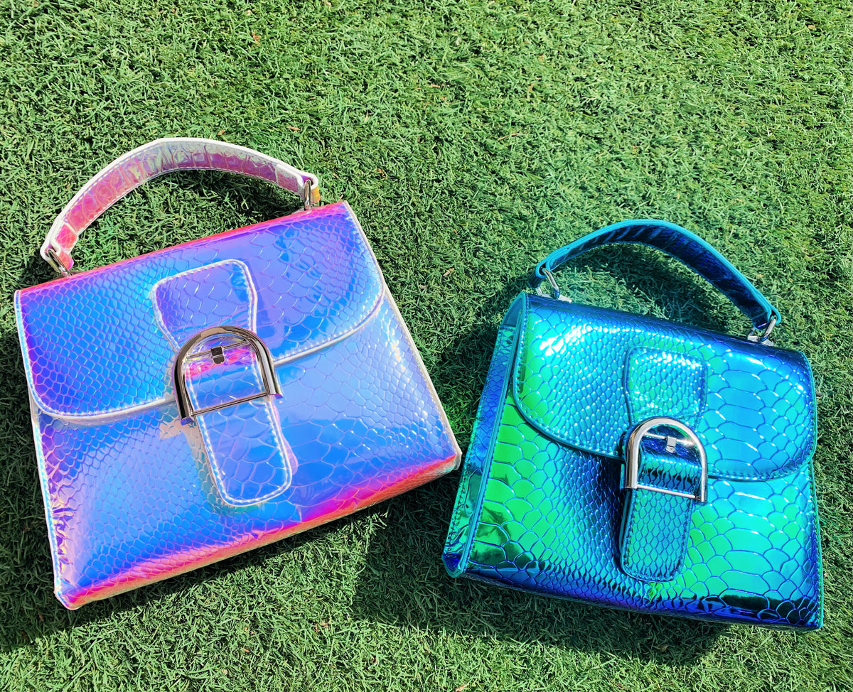 Iridescent purse discount